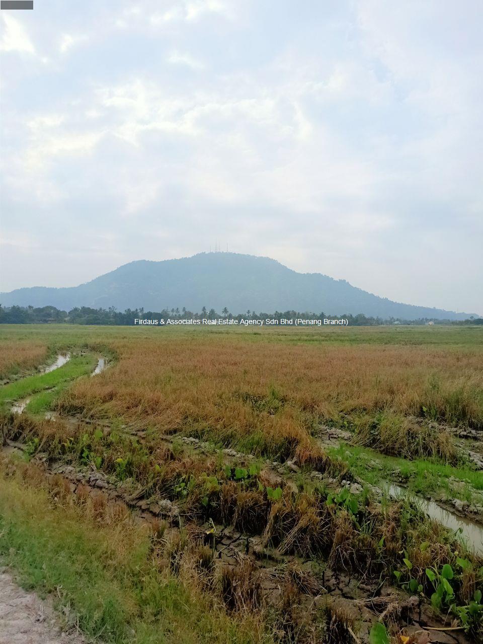 latest property